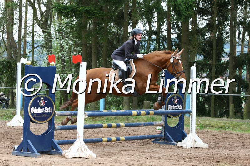 204M9238_Liberty_Stil Ax.JPG